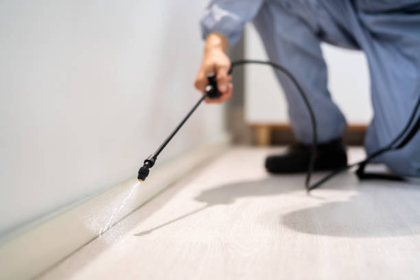 Rodent Entry Point Assessment in Azusa