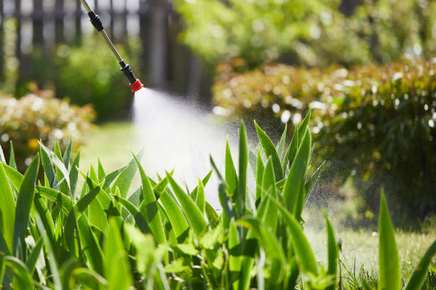 Tamper-Resistant Bait Stations for Rodents in Azusa