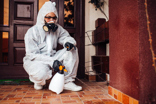 Attic and Crawl Space Rodent Treatment in Azusa